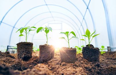 Windows Setup Environment